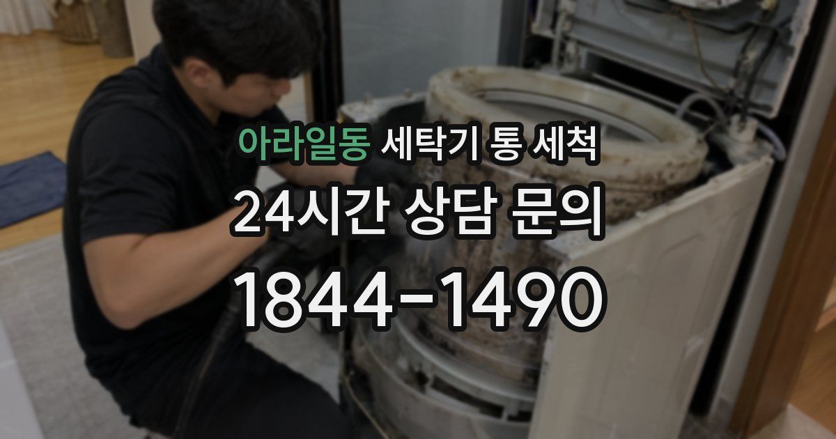 아라일동 세탁기 통 세척