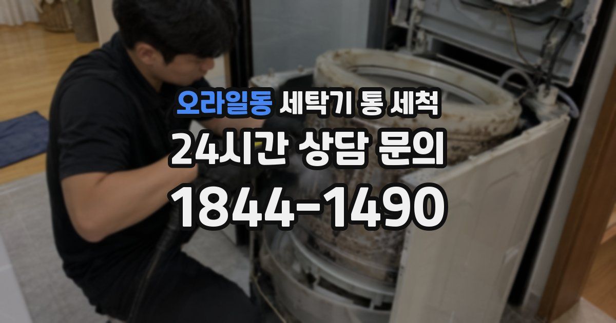 오라일동 세탁기 통 세척