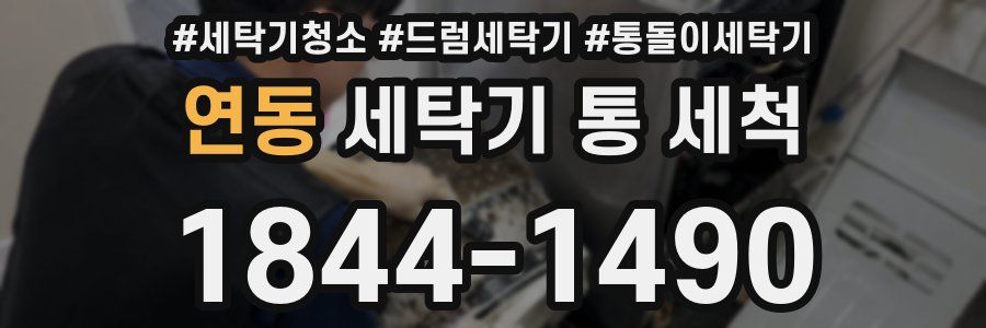 연동 세탁기 통 세척