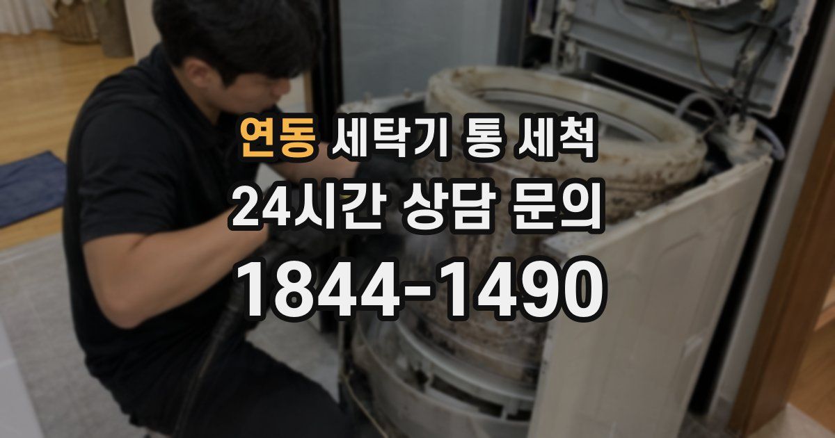 연동 세탁기 통 세척