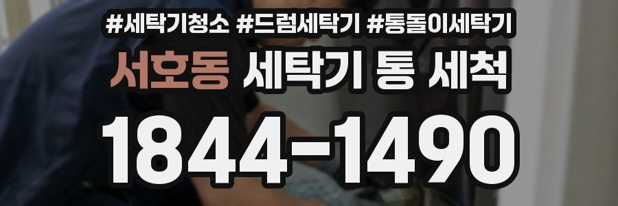 서호동 세탁기 통 세척