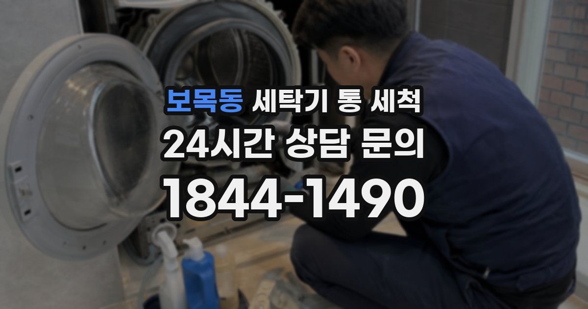 보목동 세탁기 통 세척