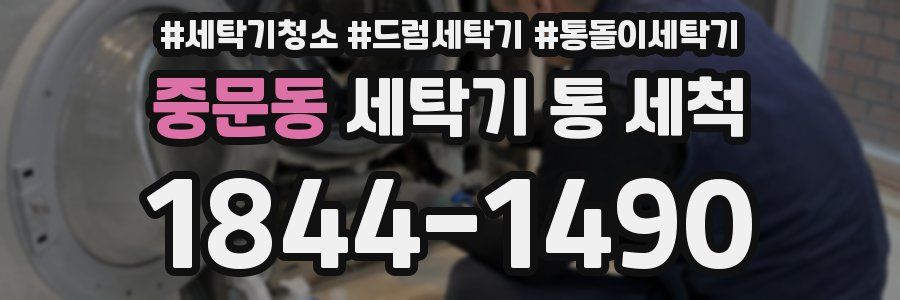 중문동 세탁기 통 세척