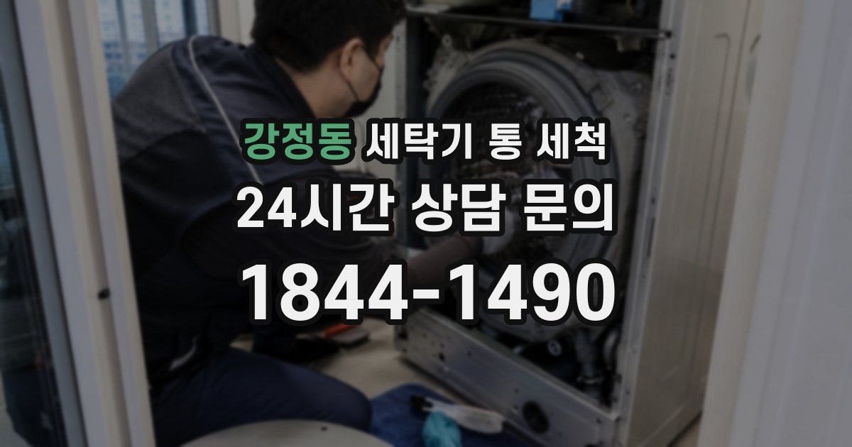 강정동 세탁기 통 세척