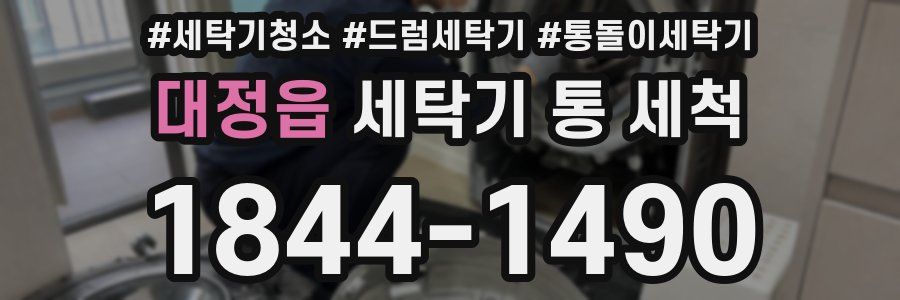 대정읍 세탁기 통 세척