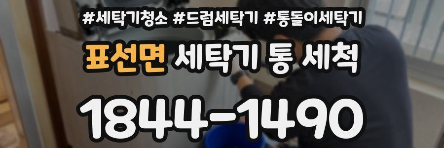 표선면 세탁기 통 세척