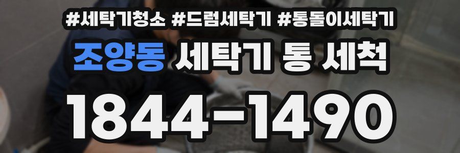 조양동 세탁기 통 세척