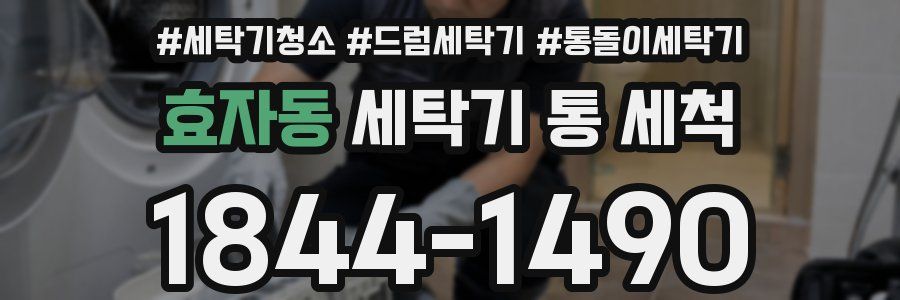 효자동 세탁기 통 세척