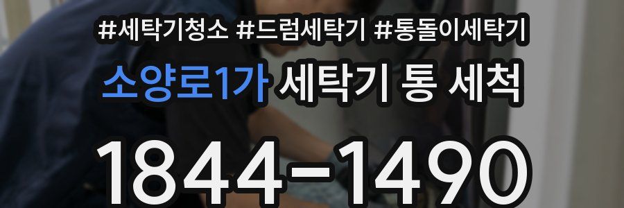 소양로1가 세탁기 통 세척