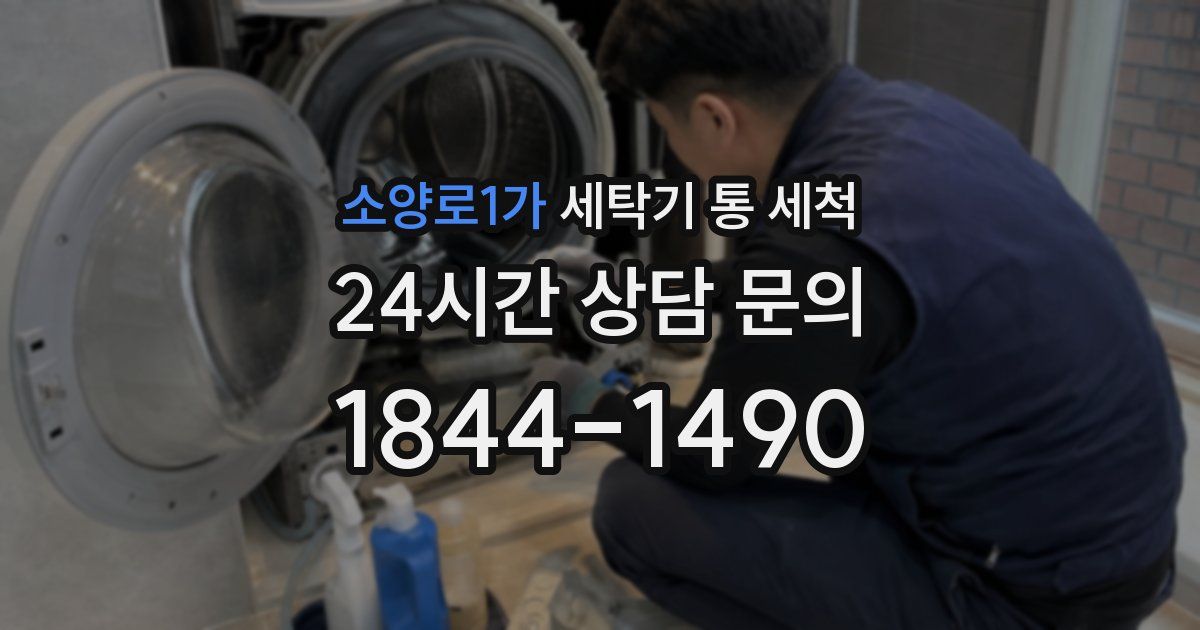 소양로1가 세탁기 통 세척