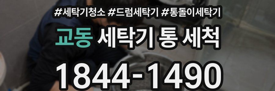 교동 세탁기 통 세척