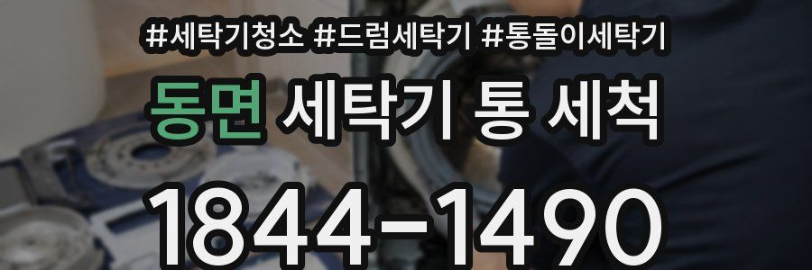 동면 세탁기 통 세척