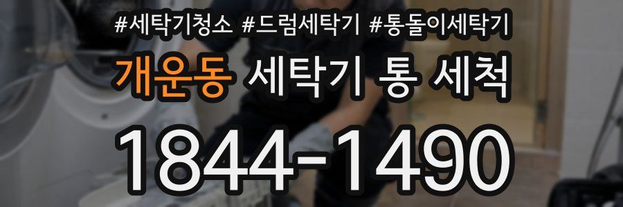 개운동 세탁기 통 세척
