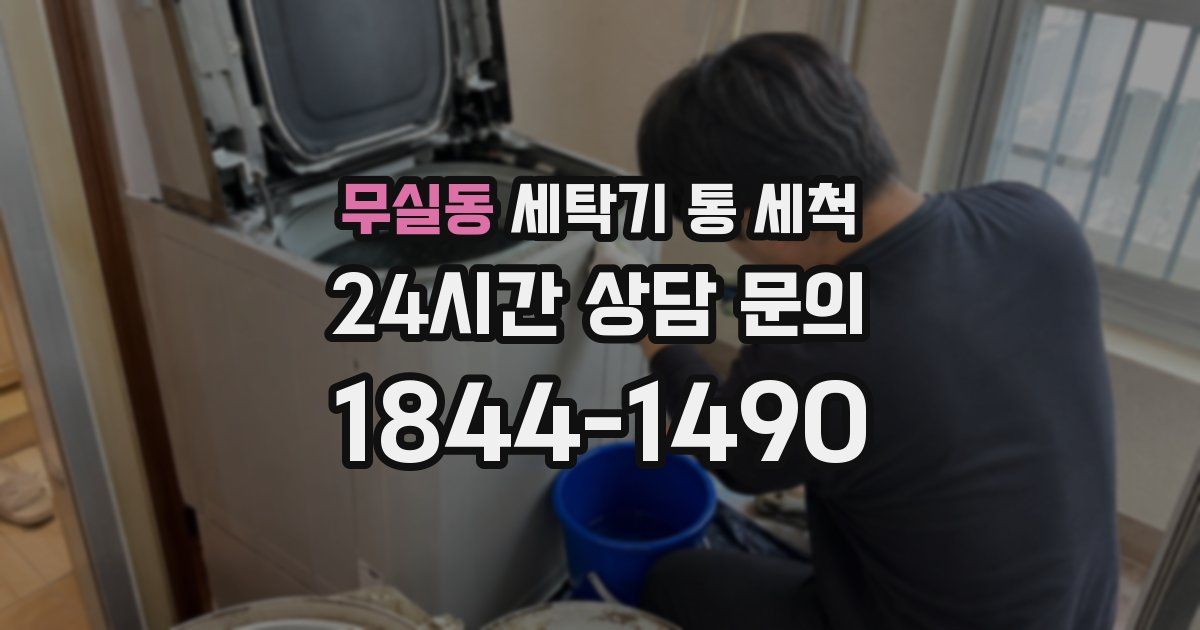 무실동 세탁기 통 세척