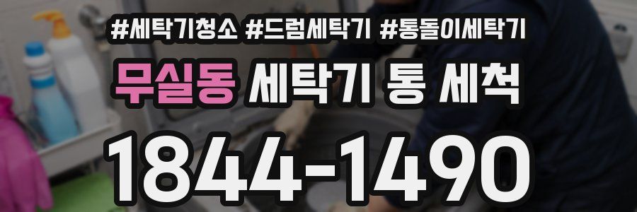 무실동 세탁기 통 세척