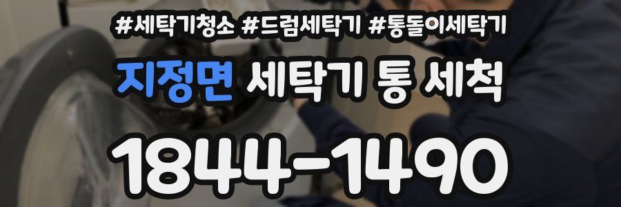 지정면 세탁기 통 세척