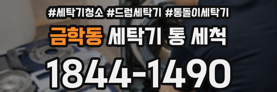 금학동 세탁기 통 세척