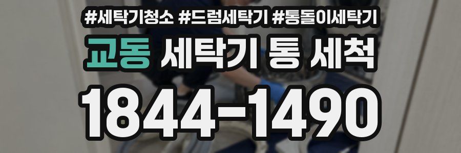 교동 세탁기 통 세척