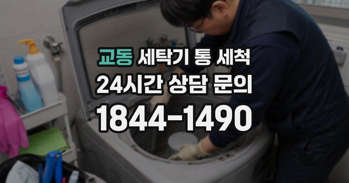 교동 세탁기 통 세척