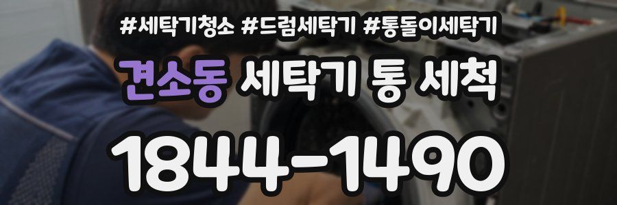 견소동 세탁기 통 세척