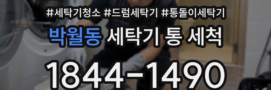 박월동 세탁기 통 세척
