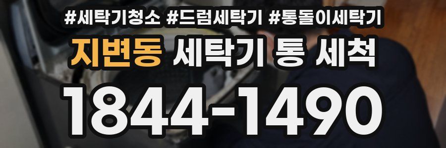 지변동 세탁기 통 세척