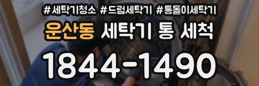 운산동 세탁기 통 세척