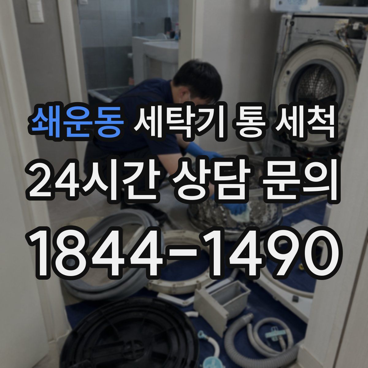 쇄운동 세탁기 통 세척