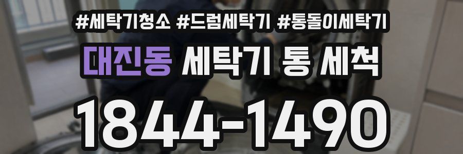 대진동 세탁기 통 세척