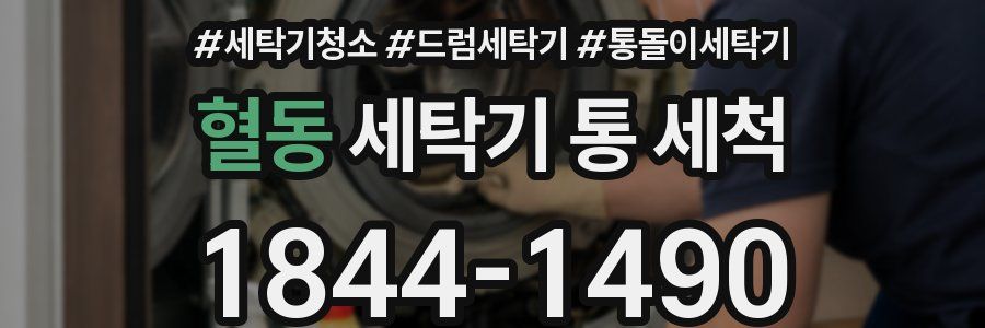 혈동 세탁기 통 세척
