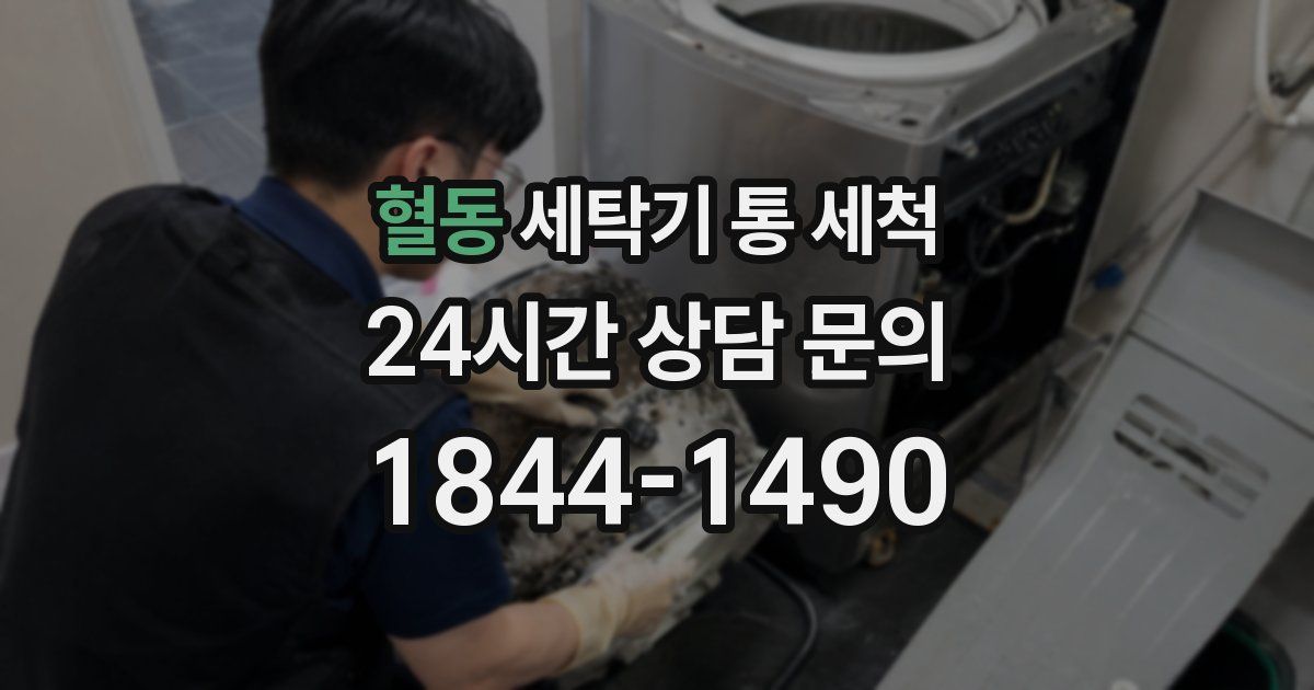 혈동 세탁기 통 세척