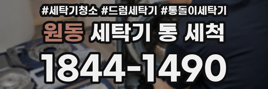 원동 세탁기 통 세척