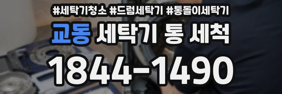 교동 세탁기 통 세척