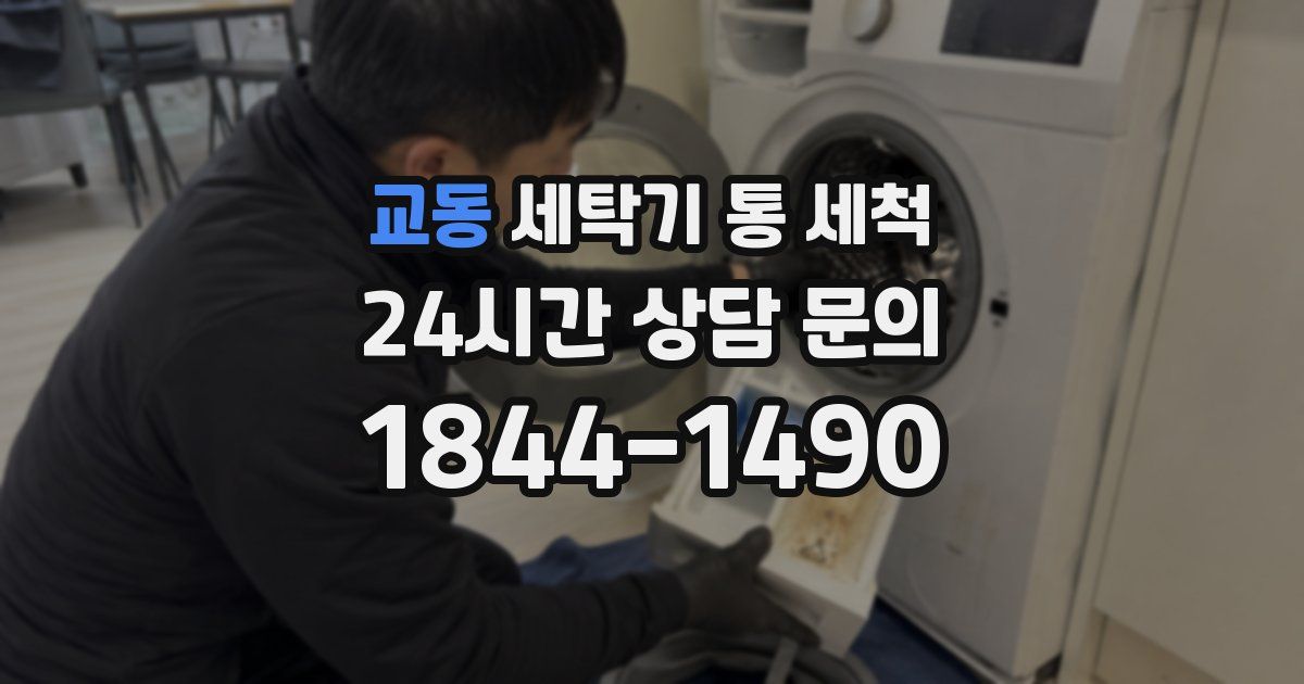 교동 세탁기 통 세척