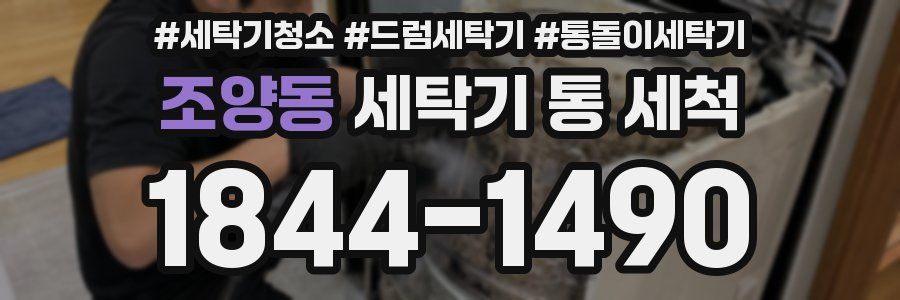 조양동 세탁기 통 세척