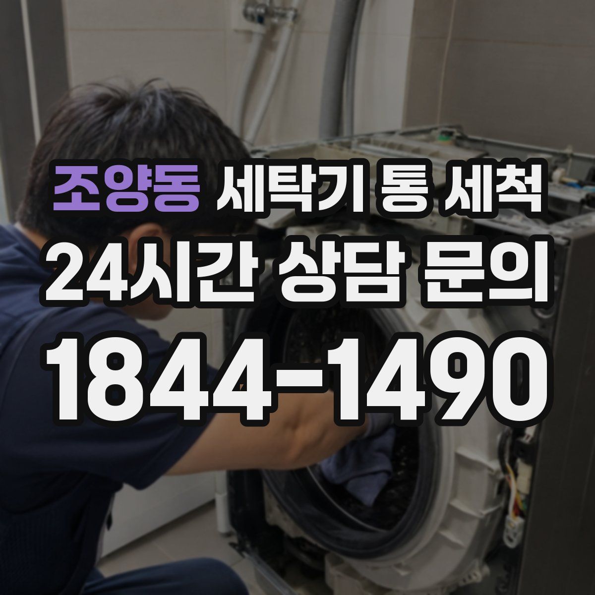 조양동 세탁기 통 세척