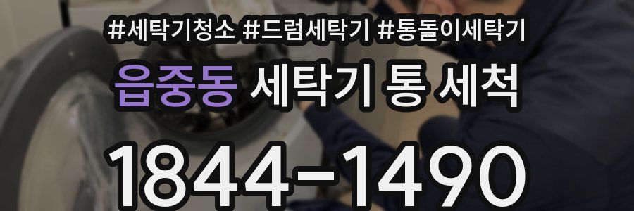 읍중동 세탁기 통 세척