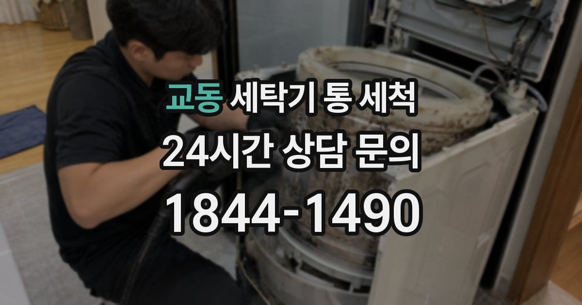 교동 세탁기 통 세척