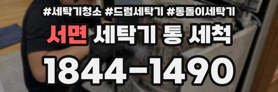 서면 세탁기 통 세척