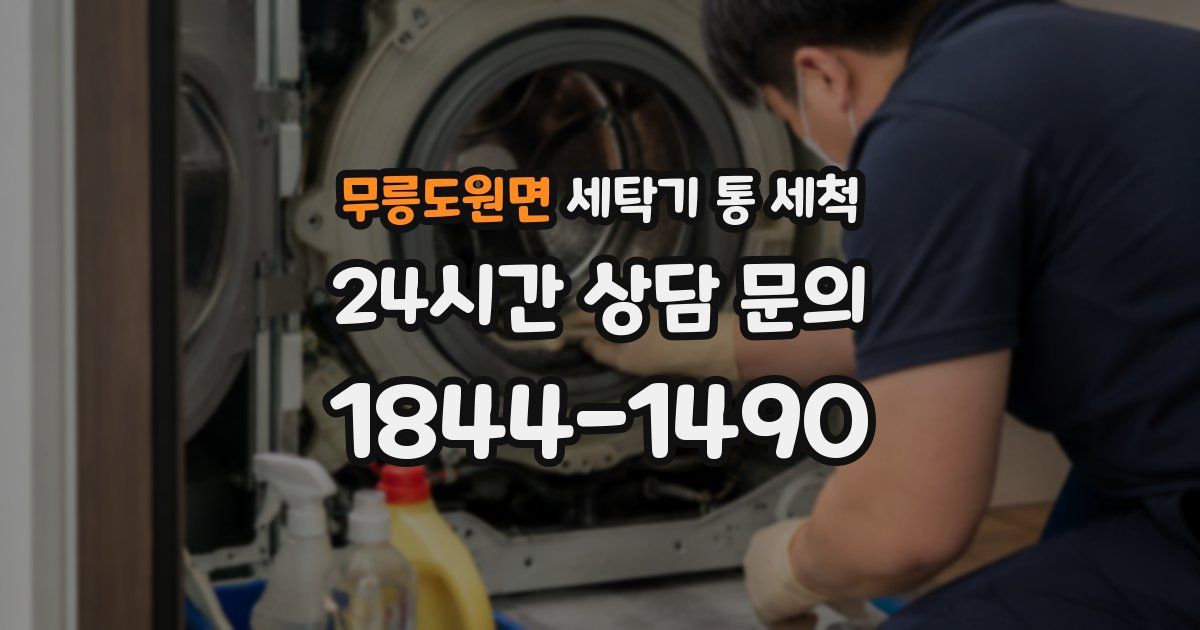 무릉도원면 세탁기 통 세척