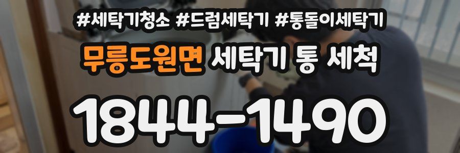 무릉도원면 세탁기 통 세척
