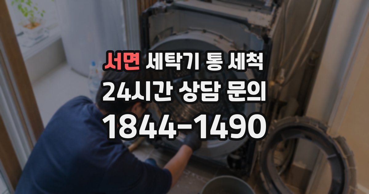 서면 세탁기 통 세척