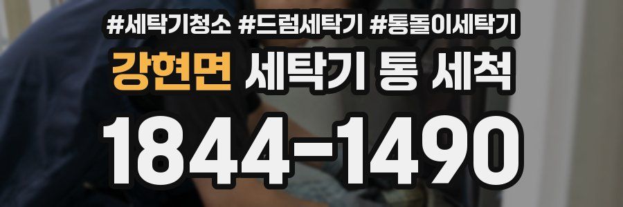 강현면 세탁기 통 세척