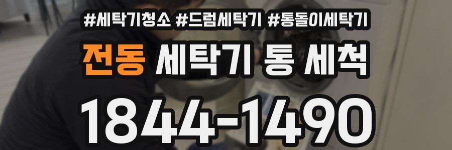 전동 세탁기 통 세척