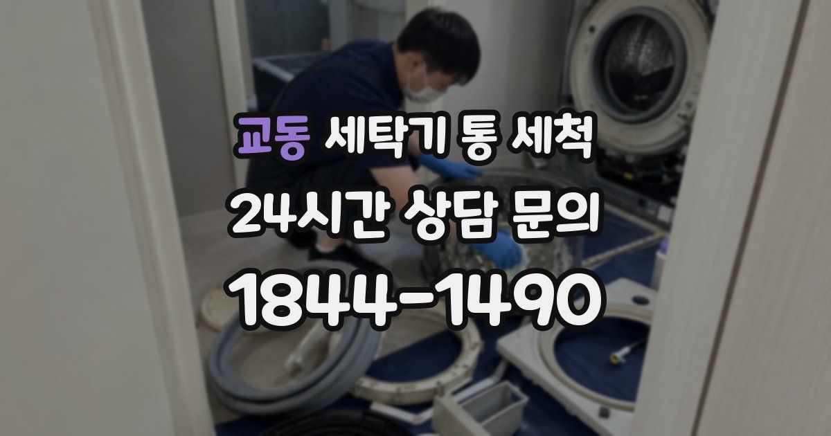 교동 세탁기 통 세척
