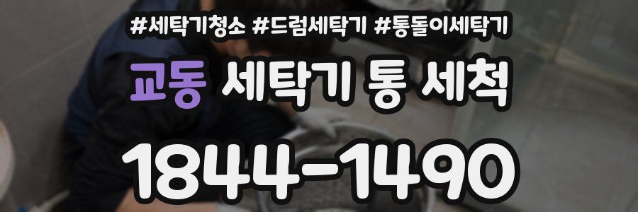 교동 세탁기 통 세척