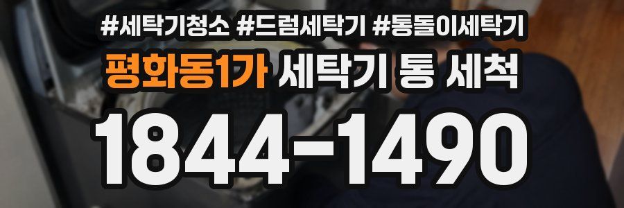 평화동1가 세탁기 통 세척