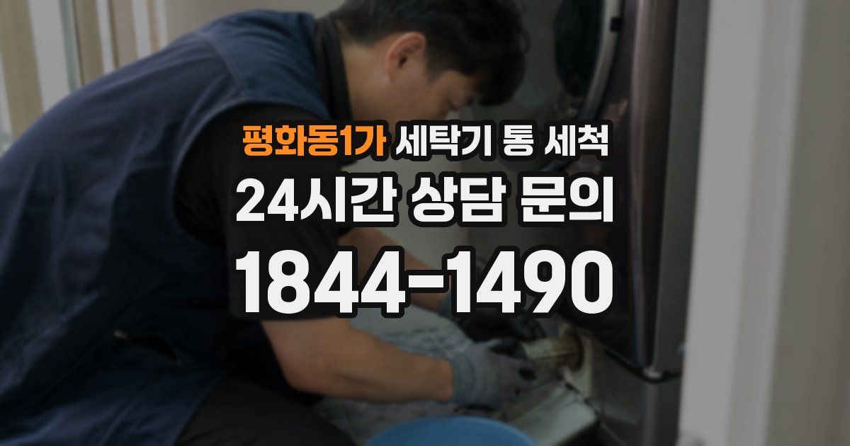 평화동1가 세탁기 통 세척