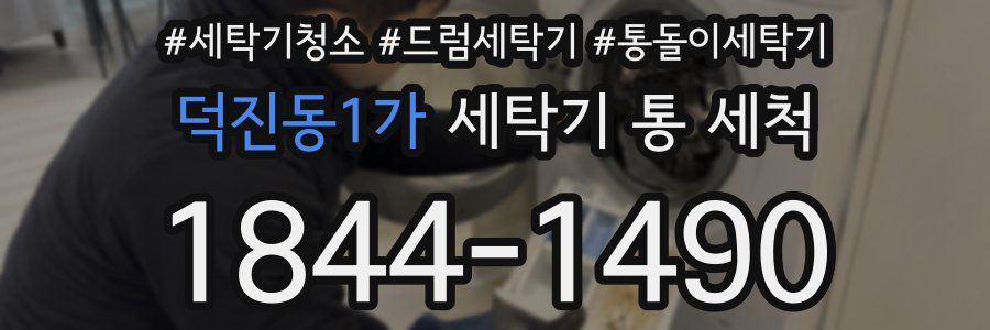 덕진동1가 세탁기 통 세척