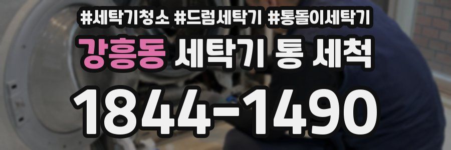 강흥동 세탁기 통 세척
